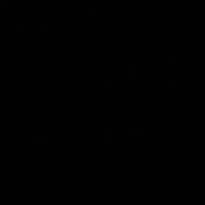 Meet your Posher, Manuela